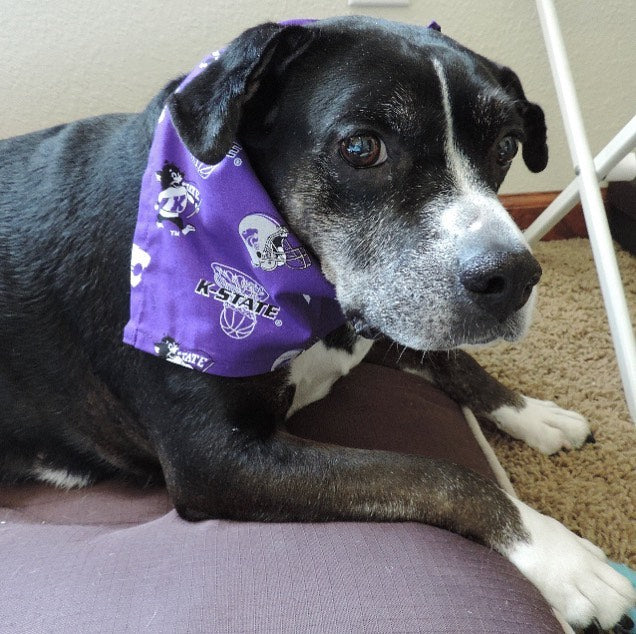 K-State Pet Bandanas