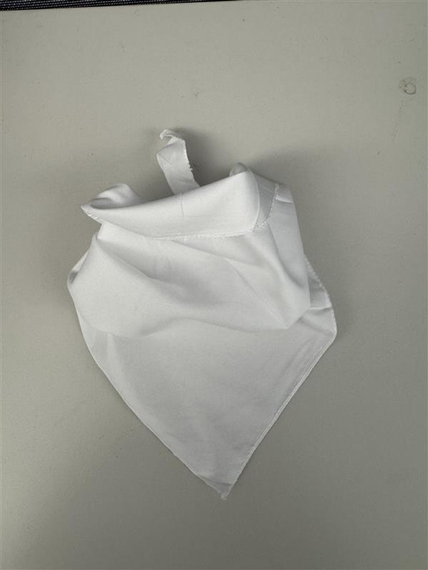 Customizable Pet Bandana