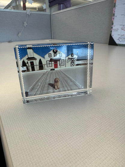 Custom Glass Paperweight