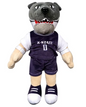 Stuffed Willie the Wildcat
