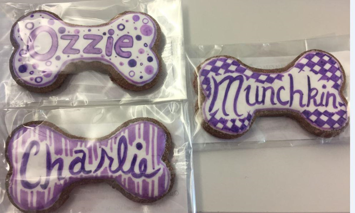 Dog Treat